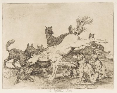 Plate 78 from 