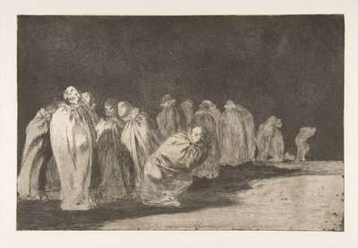 Plate 8 from the 