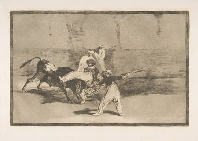 Plate 8 from the 