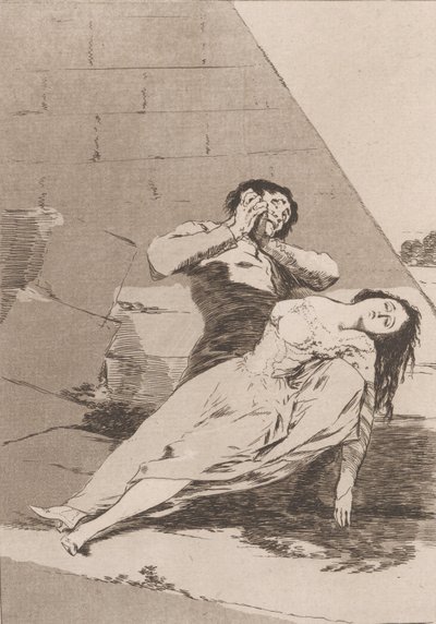 Plate 9 from 
