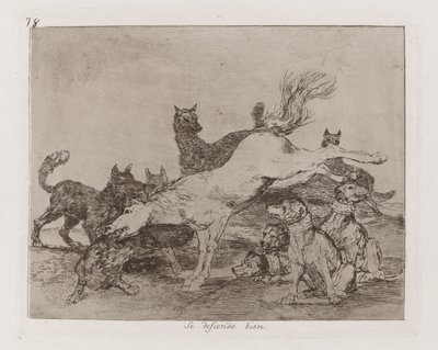 He Defends Himself Well, Plate 78 from The Disasters of War by Francisco de Goya