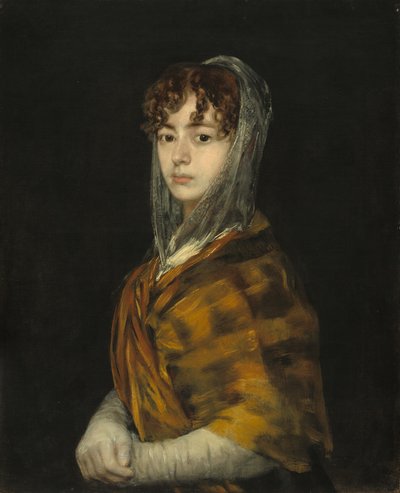 Señora Sabasa Garcia by Francisco de Goya