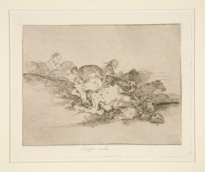 It Always Happens, Plate 8 from The Disasters of War by Francisco de Goya