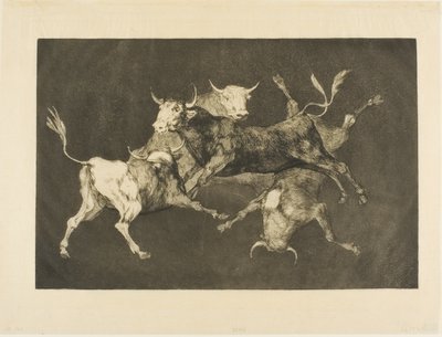 Fool’s Folly, from Disparates by Francisco Jose de Goya y Lucientes