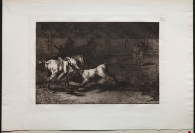 Bullfights: Mariano Ceballos, Alias the Indian, Kills the Bull From his Horse by Francisco de Goya