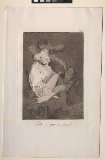 That Certainly is Being Able to Read by Francisco de Goya