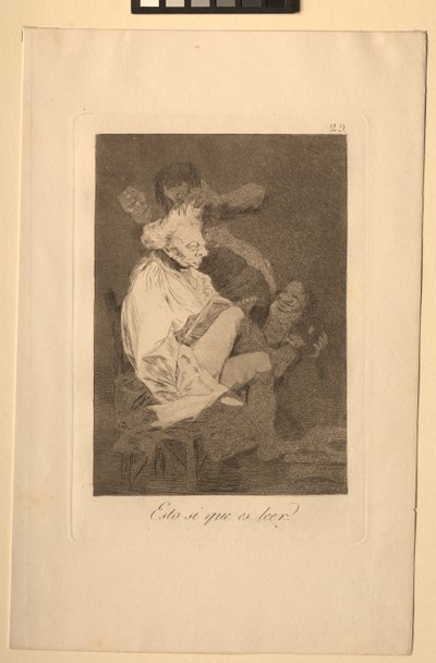 Caprichos: That Certainly is Being Able to Read by Francisco de Goya