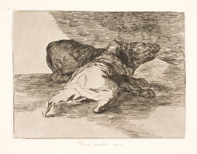 He Gets Something Out of It! (40) by Francisco de Goya