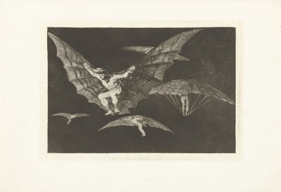 A Way of Flying by Francisco de Goya