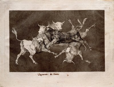 Fools Folly from the Series Los Disparates Follies, 1815-1819 by Francisco de Goya