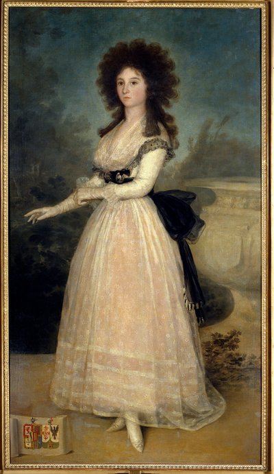 Full-Length Portrait of Dona Tadea Arias de Enriquez by Francisco de Goya