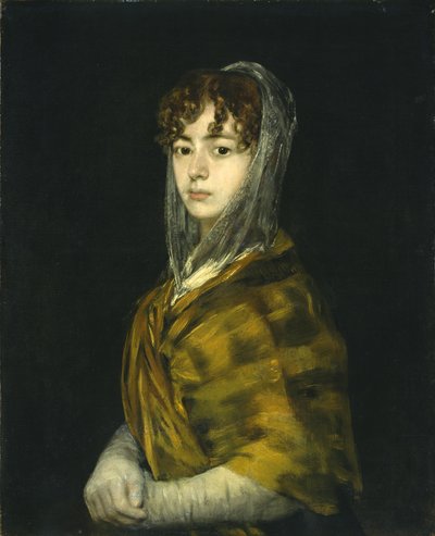 Senora Sabasa Garcia by Francisco de Goya