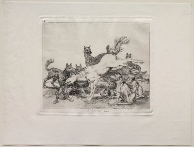 The Horrors of War: He Defends Himself Well by Francisco de Goya