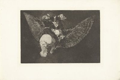 Flying Folly (series title: Los Disparates) (series title: Los Proverbios) by Francisco de Goya