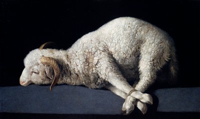 Agnus Dei by Francisco de Zurbaran