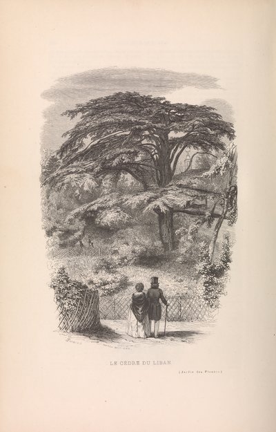 Le Jardin des Plantes, Descriptions et Moeurs des Mammiferes by Francois Boitard