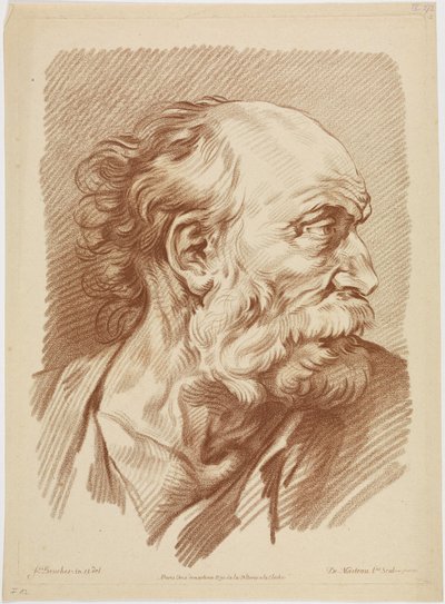 Bust of an Old Man by François Boucher