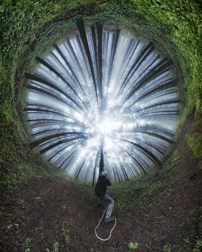 Spiral Forest Path by Francois Casanova
