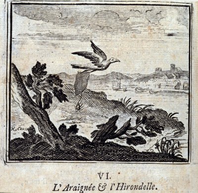 The Spider and the Swallow (Illustration by François Chauveau) by Francois Chauveau