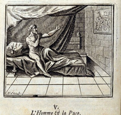 The Man and the Flea by Francois Chauveau