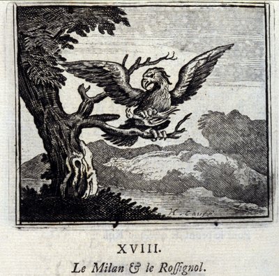 The Kite and the Nightingale by Francois Chauveau