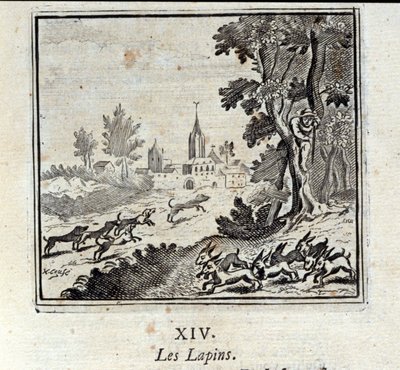 Rabbits (Illustration by François Chauveau) by Francois Chauveau