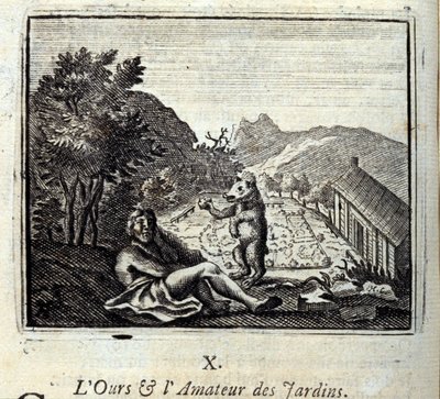The Bear and the Garden Amateur (Illustration by François Chauveau) by Francois Chauveau