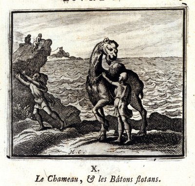 The Camel and the Floating Sticks by Francois Chauveau
