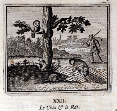 The Cat and the Rat by Francois Chauveau