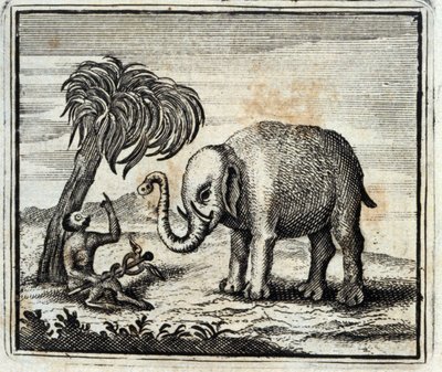 The Elephant and the Monkey of Jupiter. Fables by Jean de La Fontaine. Illustration by François Chauveau. Edition of 1728. by Francois Chauveau