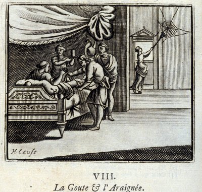 The Gout and the Spider by Francois Chauveau