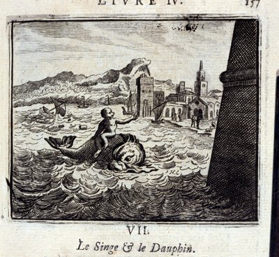 The Monkey and the Dolphin by Francois Chauveau