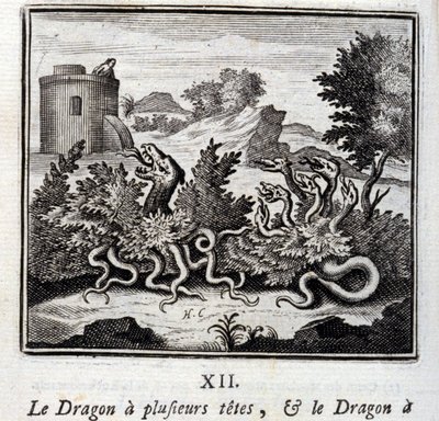 The Dragon with Several Heads and the Dragon with Several Tails by Francois Chauveau