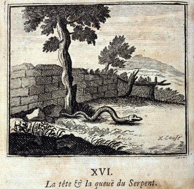 The head and tail of the Snake. Fables by Jean de La Fontaine (1621-95). Illustration by François Chauveau (1613-1676). Edition of 1728 by Francois Chauveau