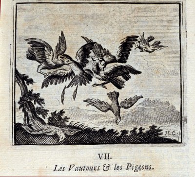 Vultures and Pigeons. Fables by Jean de La Fontaine. Illustration by François Chauveau. Edition of 1728. by Francois Chauveau