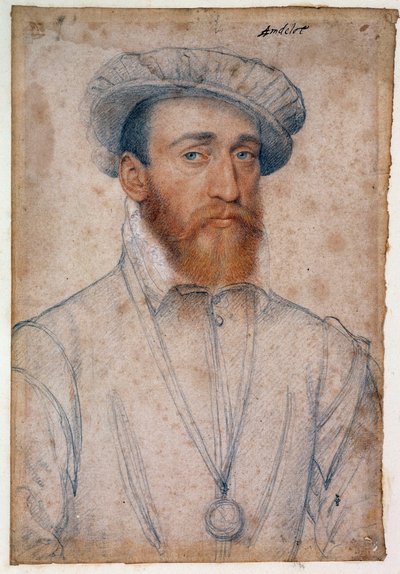 Portrait of Francois de Coligny, Lord of Andelot by François Clouet