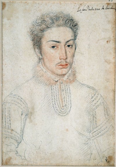 Portrait of Francois de Vendome, vidame de Chartres by François Clouet