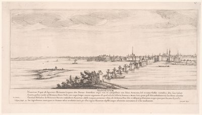 View of Nantes (Nannetum) (River Views in France) by Francois Collignon