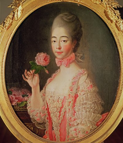 Marie-Josephine Louise de Savoie, Comtesse de Provence by Francois Hubert Drouais