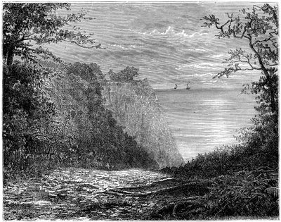 The Chalk Cliffs at the Königsstuhl, Rügen, Germany by Francois Stroobant