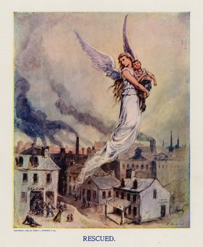 Rescued by Frank Beard