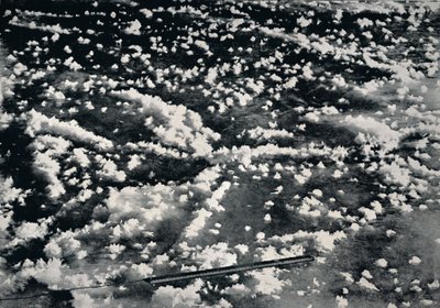 Ice Flowers on Newly Formed Sea Ice by Frank Debenham