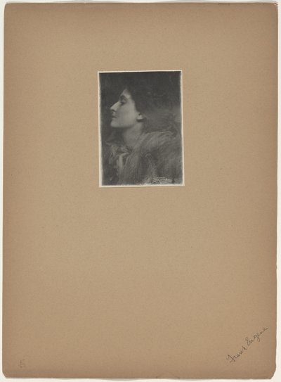 Lady of Charlotte by Frank Eugene