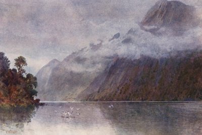 In Milford Sound by Frank H Wright