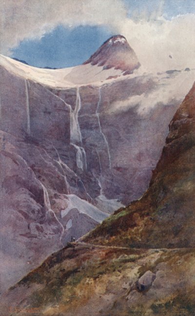 New Zealand: On M