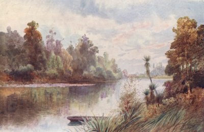 On the Pelorus River by Frank H Wright