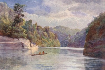 New Zealand: Tarei-po-Kiore by Frank H Wright