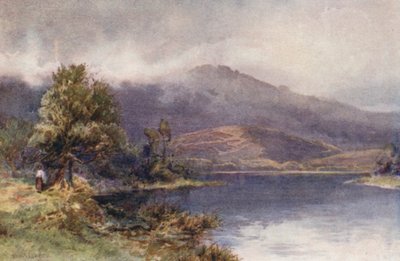 New Zealand: The Waikato at Ngaruawahia by Frank H Wright