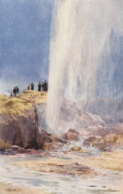 New Zealand: Wairoa Geyser by Frank H Wright