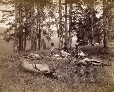 Elk Hunters, Yellowstone, c.1880 by Frank Jay Haynes